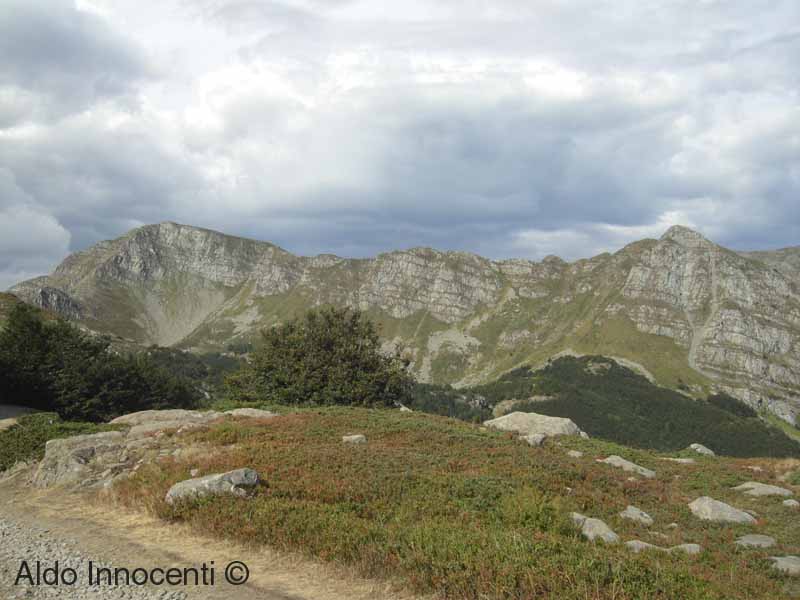 CRINALE APPENNINO TOSCO - EMILIANO